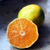 MISTAR Jeju Green Tangerine Powder - Image 2